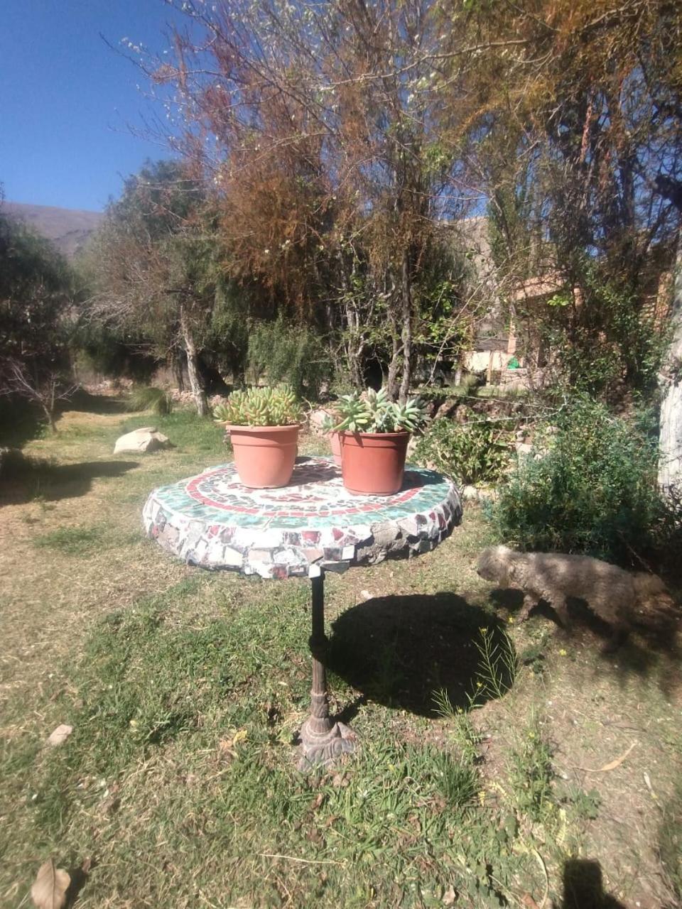 La Casita Hotel Tilcara Luaran gambar